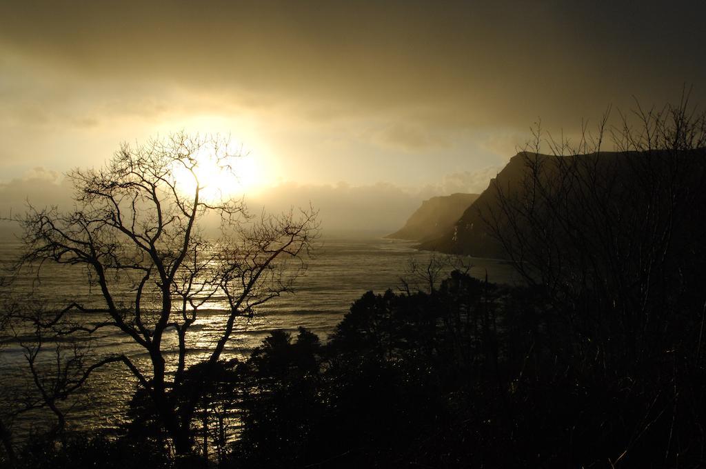 Power House B&B Carsaig (Isle of Mull) Ngoại thất bức ảnh